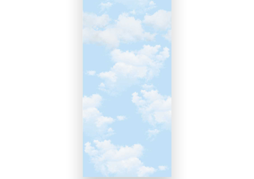 Панель ПВХ Облака № 94 250х8х2700 мм (10 шт.уп)